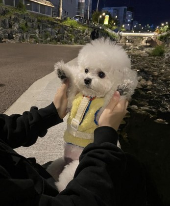 재밍