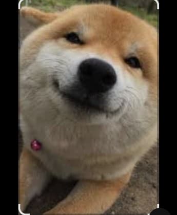 귬쓰
