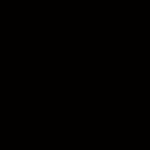 하임*