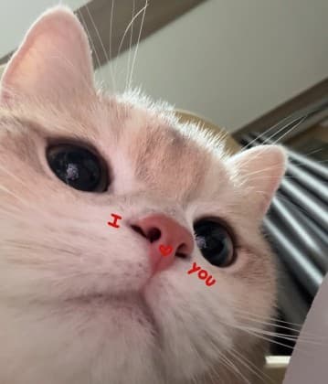 해킹 프로필