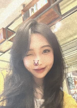 다비비빕비 프로필