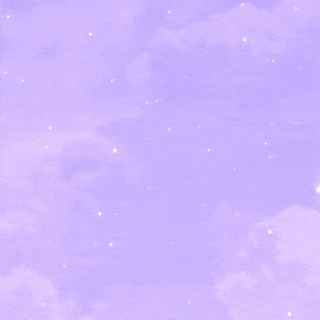 .아니 프로필