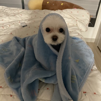 ㄷㅐ0