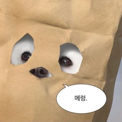 아린냥