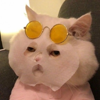 연뿌뿌