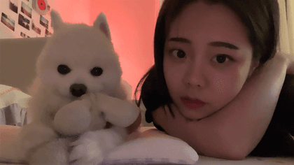 호주영 프로필