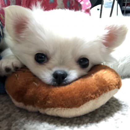 금쪽이네집