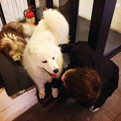용용이._.