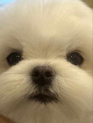 쥬나 프로필