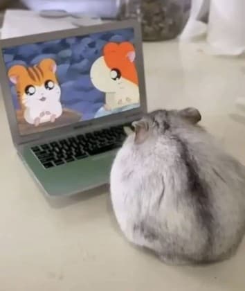 민아