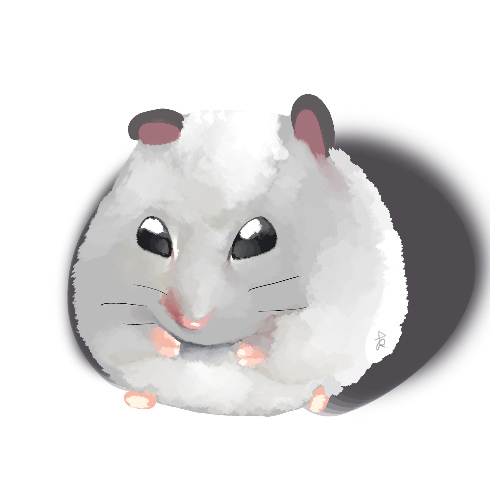 이소금