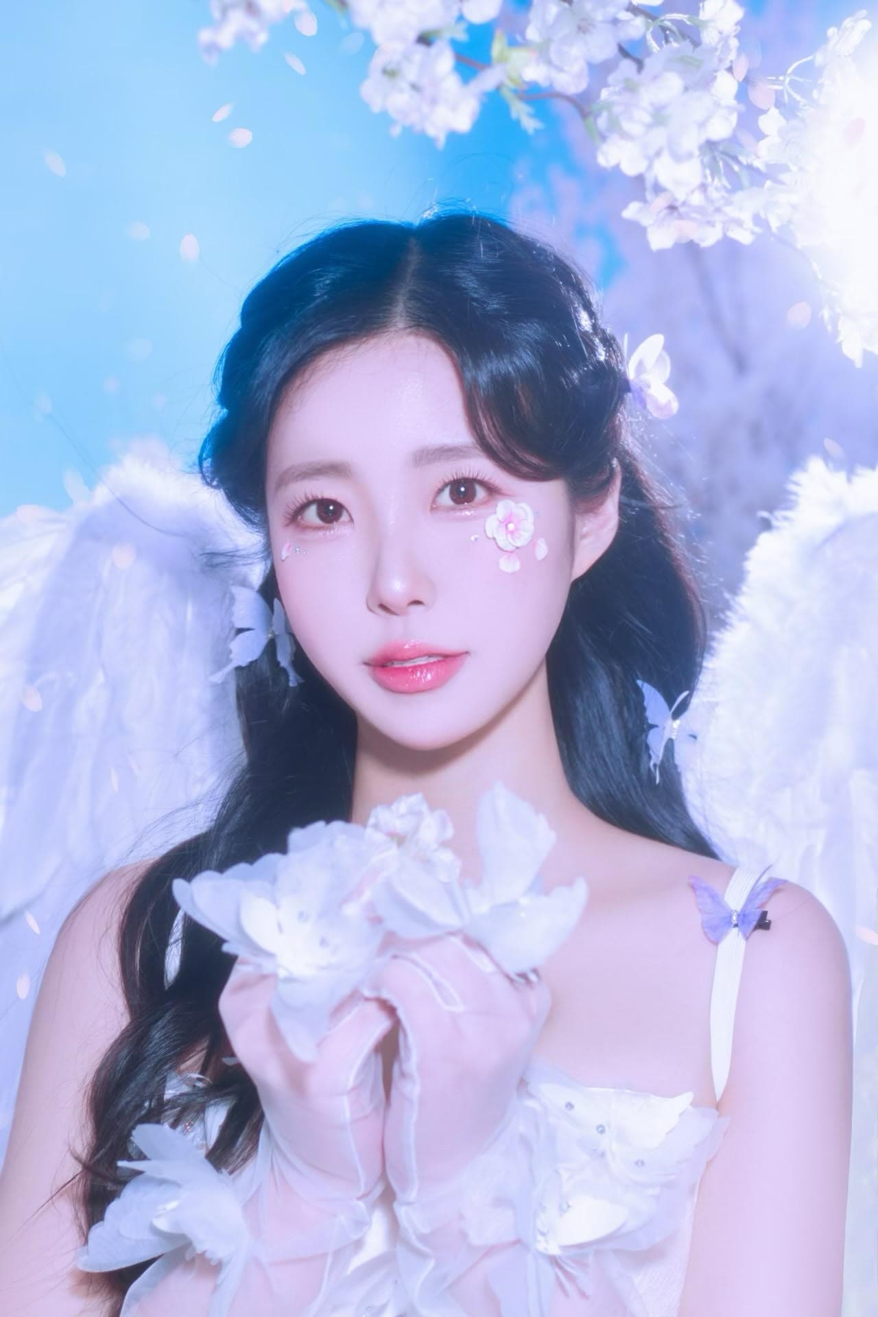 아이리세계