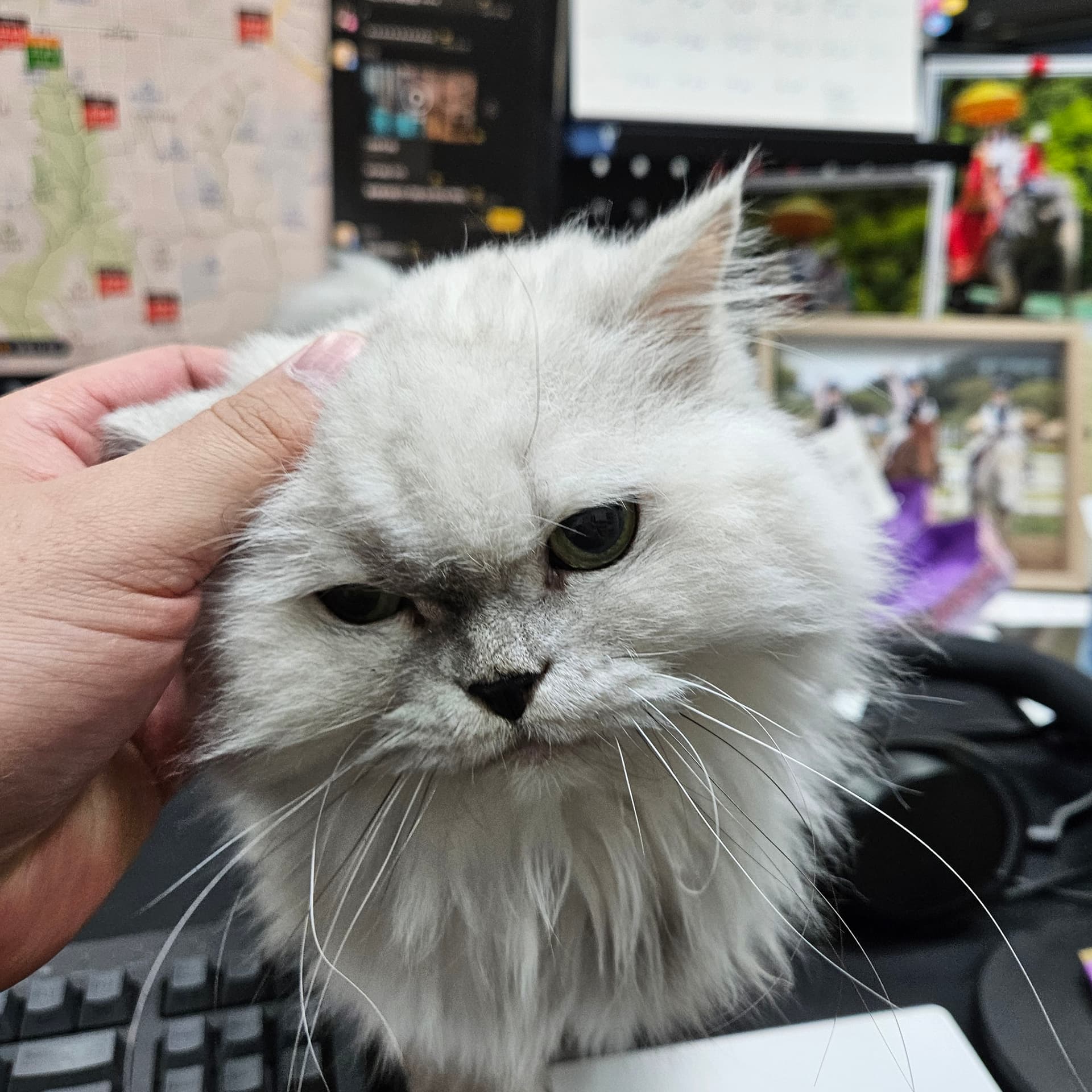 웹소설작가시점