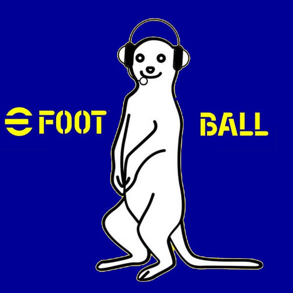 묘캣 Myocat 이풋볼