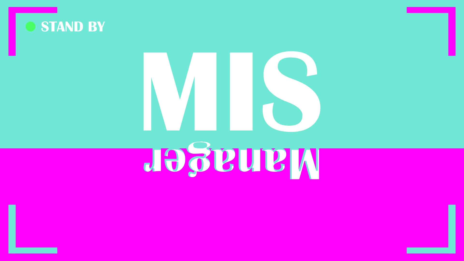 미스매니저