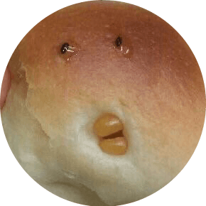 눙물오리