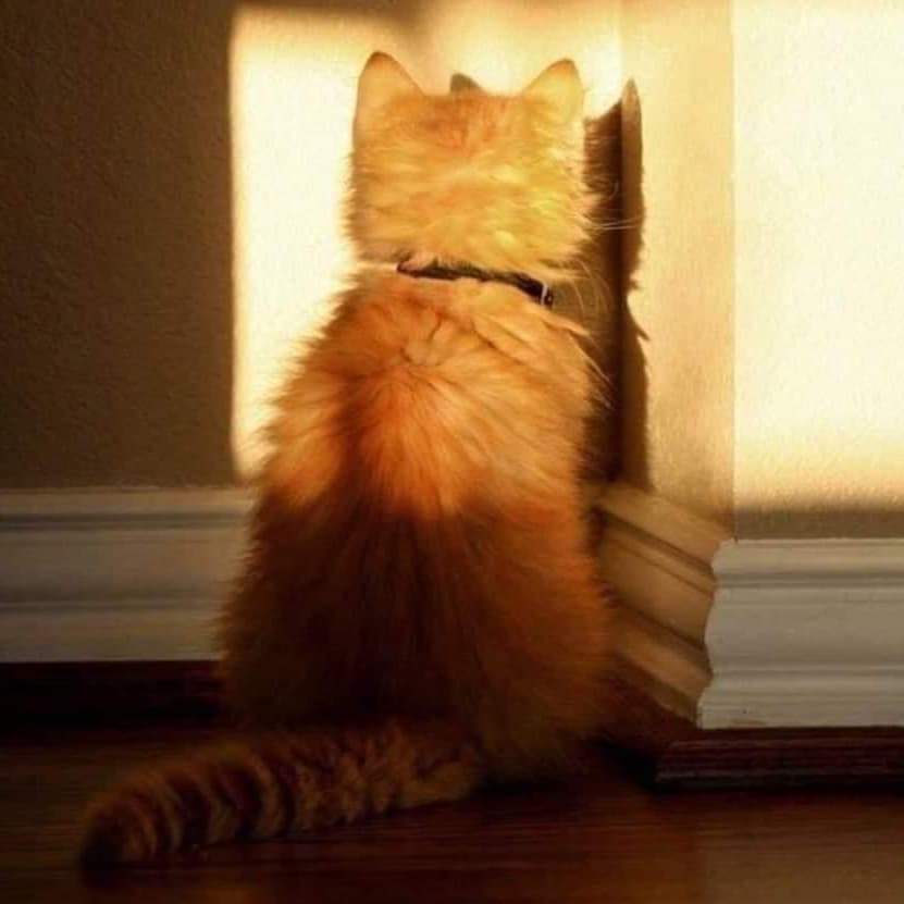 홍홍홍홍홍홍홍홍홍홍