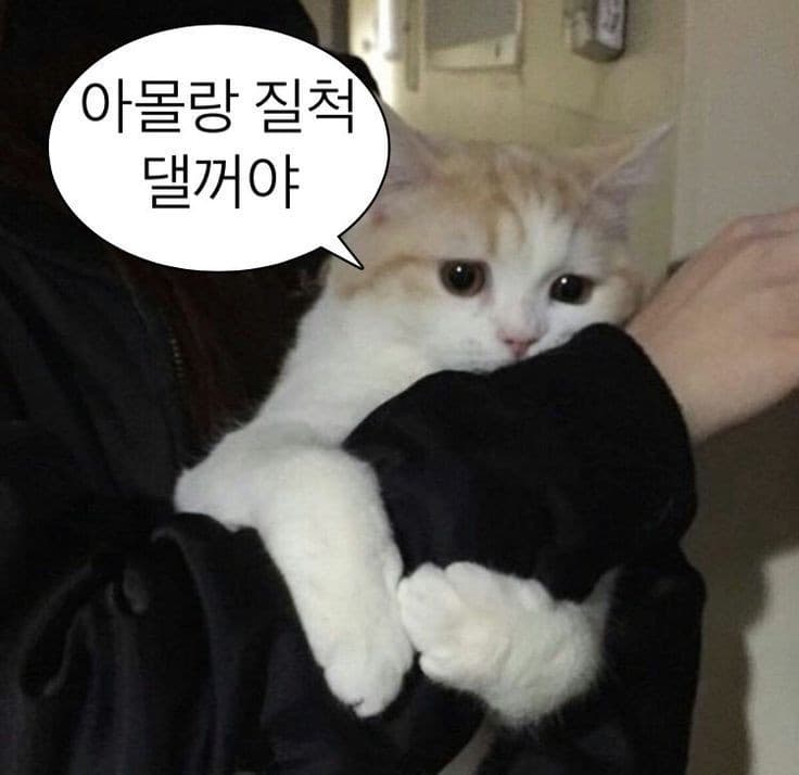 돌아왐