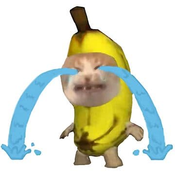 싫노