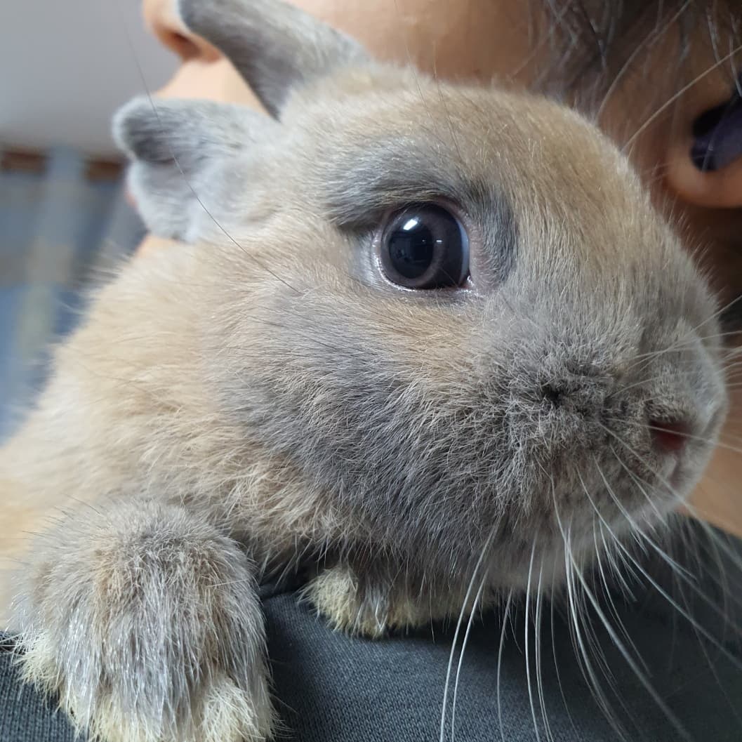 BuukBuuk부크부크