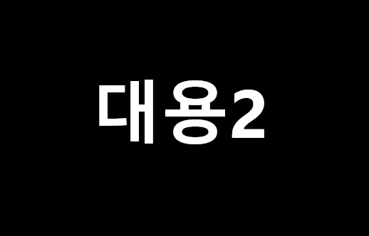 대용2