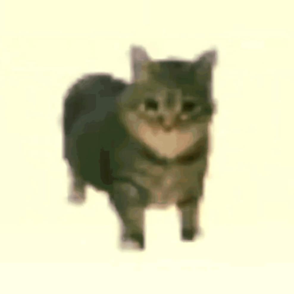 호올릭스