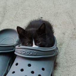 심심한날의기록