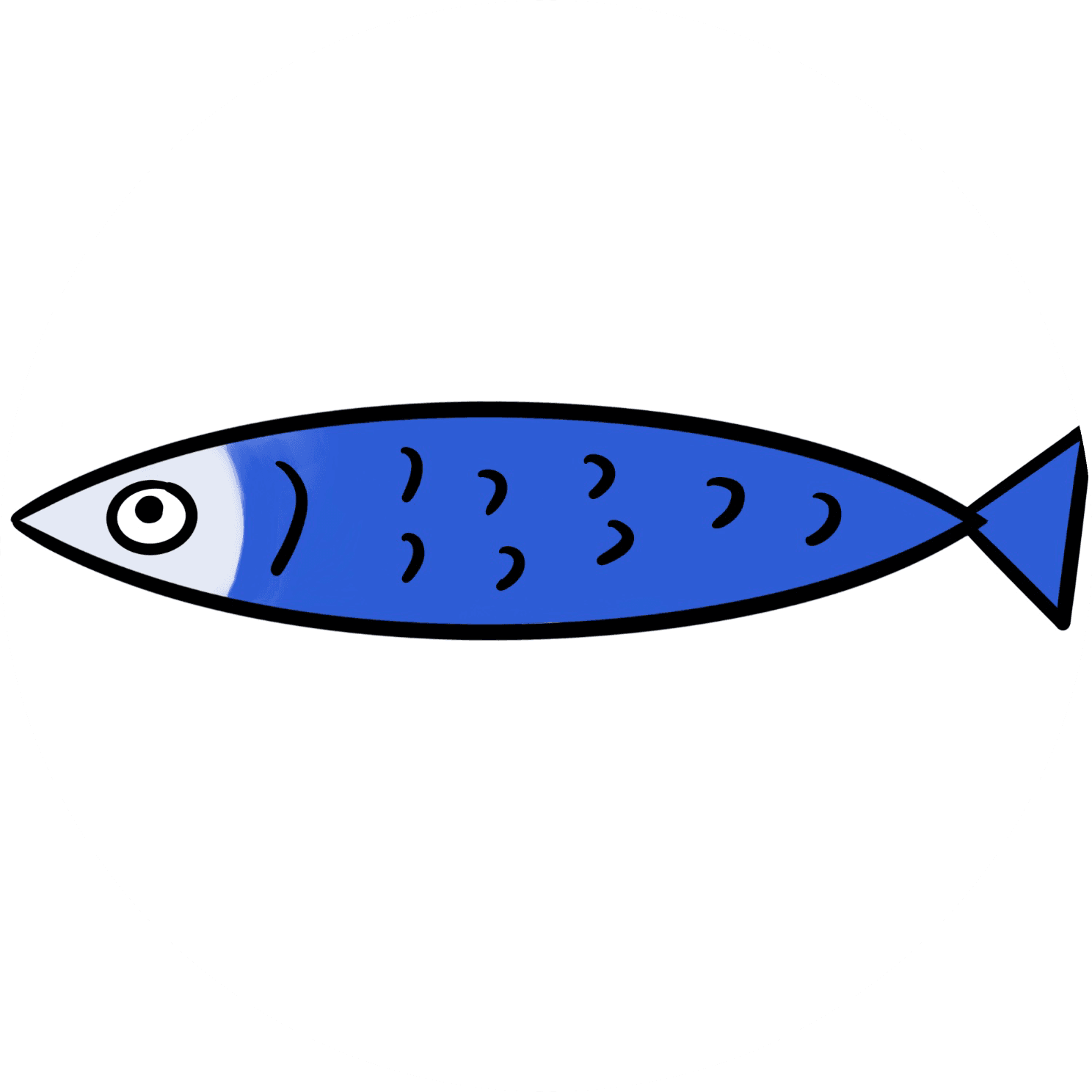 박꽁치1