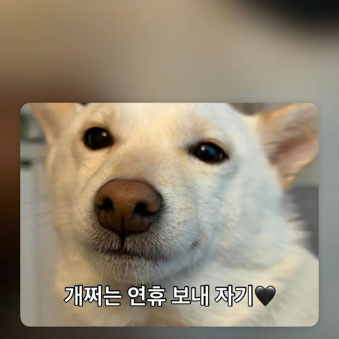 브론즈정글장인