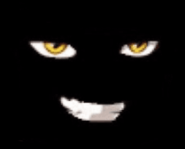 슈퍼헥토파스칼킥